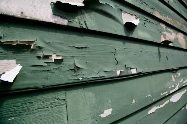 Best Engineered Wood Siding  in Priceville, AL