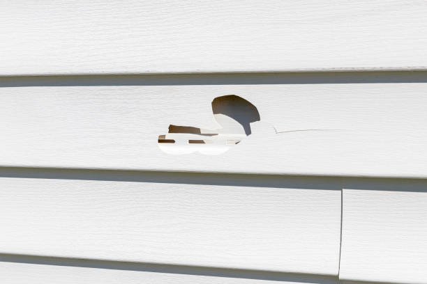 Best Siding Removal and Disposal  in Priceville, AL