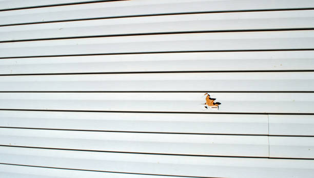  Priceville, AL Siding Installation Pros