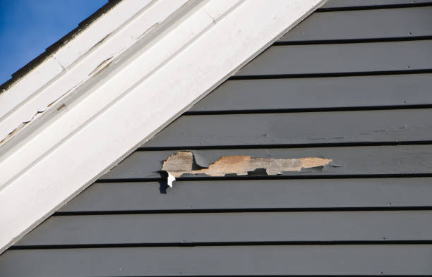 Best Wood Siding Installation  in Priceville, AL