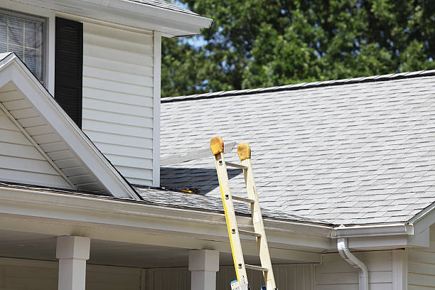 Best Stucco Siding  in Priceville, AL